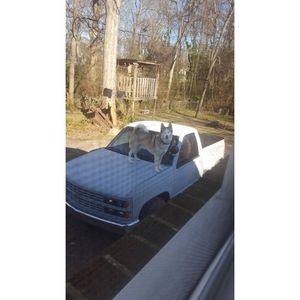 Meet your Posher, Miguel